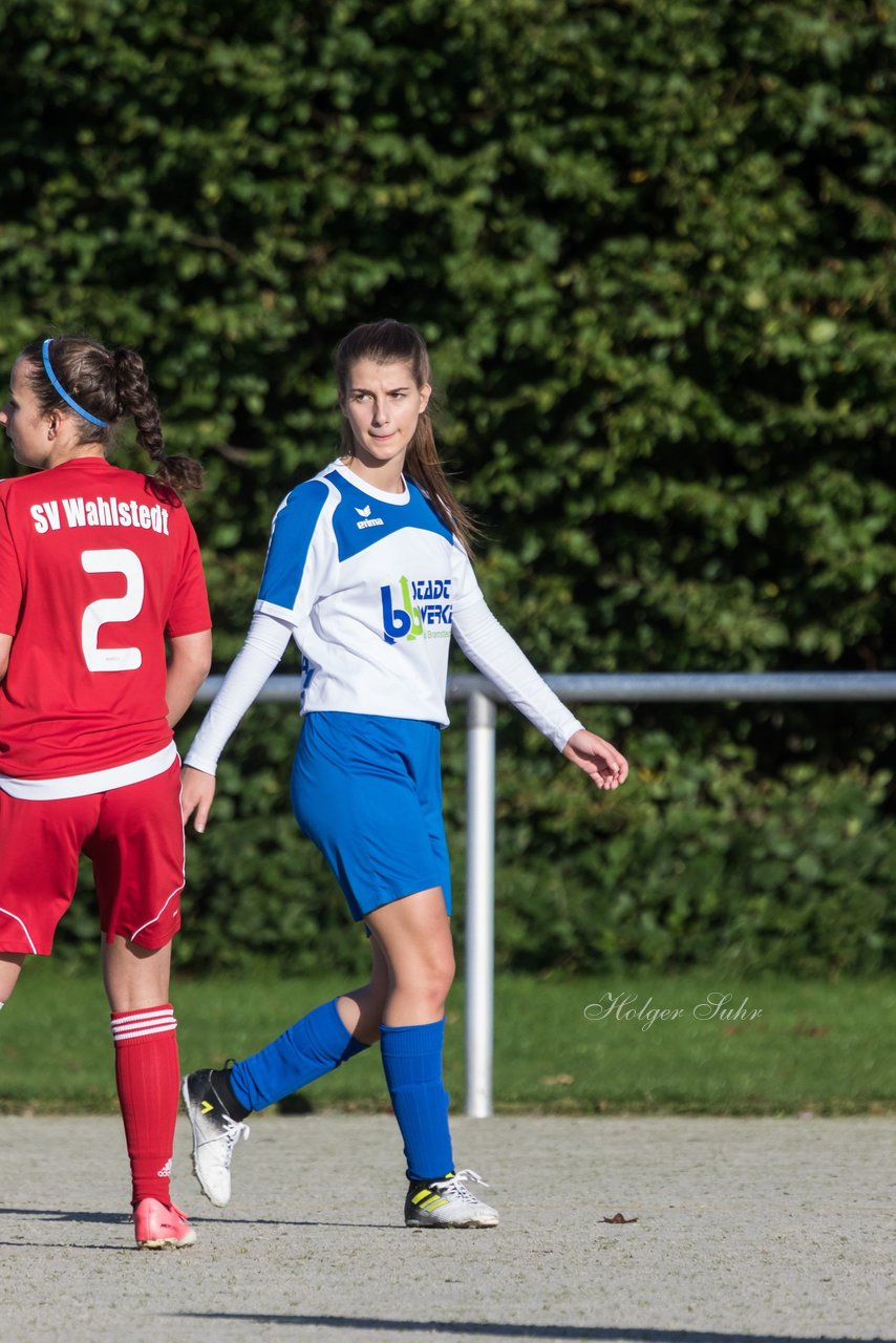 Bild 365 - Frauen SV Wahlstedt - Bramstedter TS : Ergebnis: 12:0